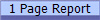 1 Page Report